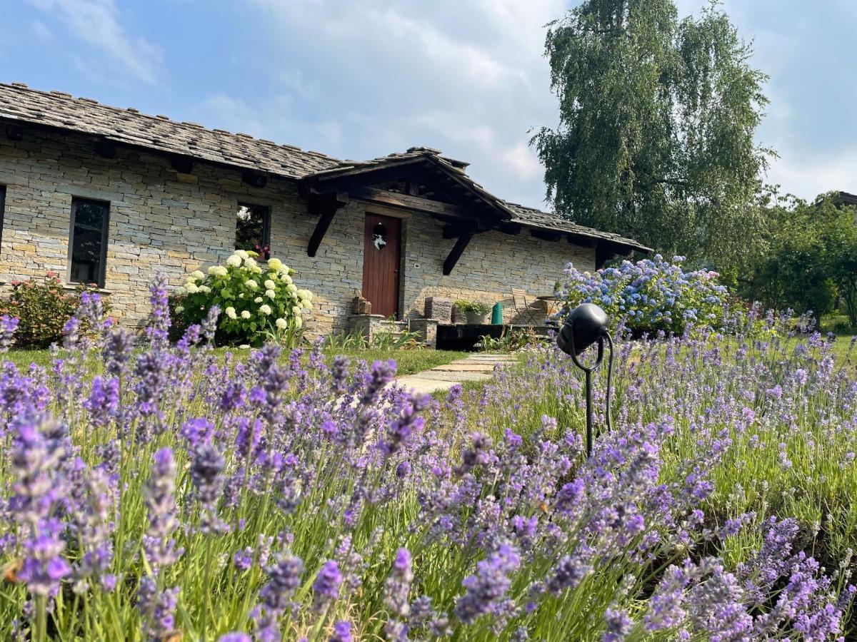 Dionisia'S Home, Pool, Spa On Monviso Unesco Alps Verzuolo Zewnętrze zdjęcie